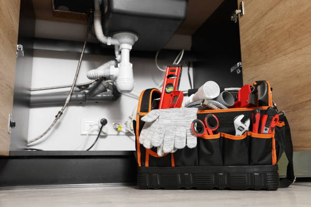 Best Same-Day Plumbing Service  in Cedar Ridge, CA